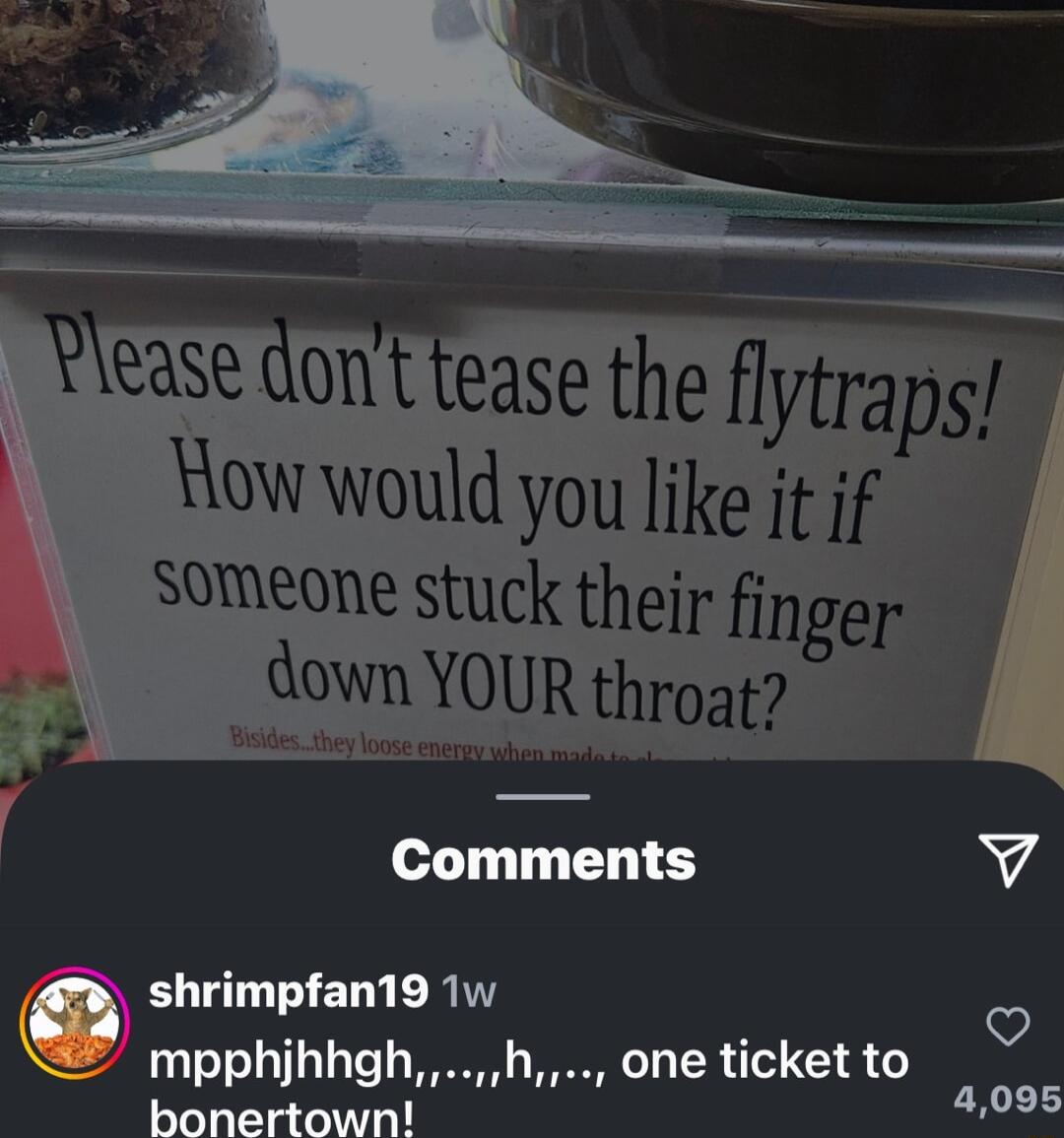 dont tease the flytraps How would you like it if someone stuck their finger down YOUR throat s they loose eney Comments v Q shrimpfan19 1w V mpphjhhgh h one ticket to 4005 bonertown