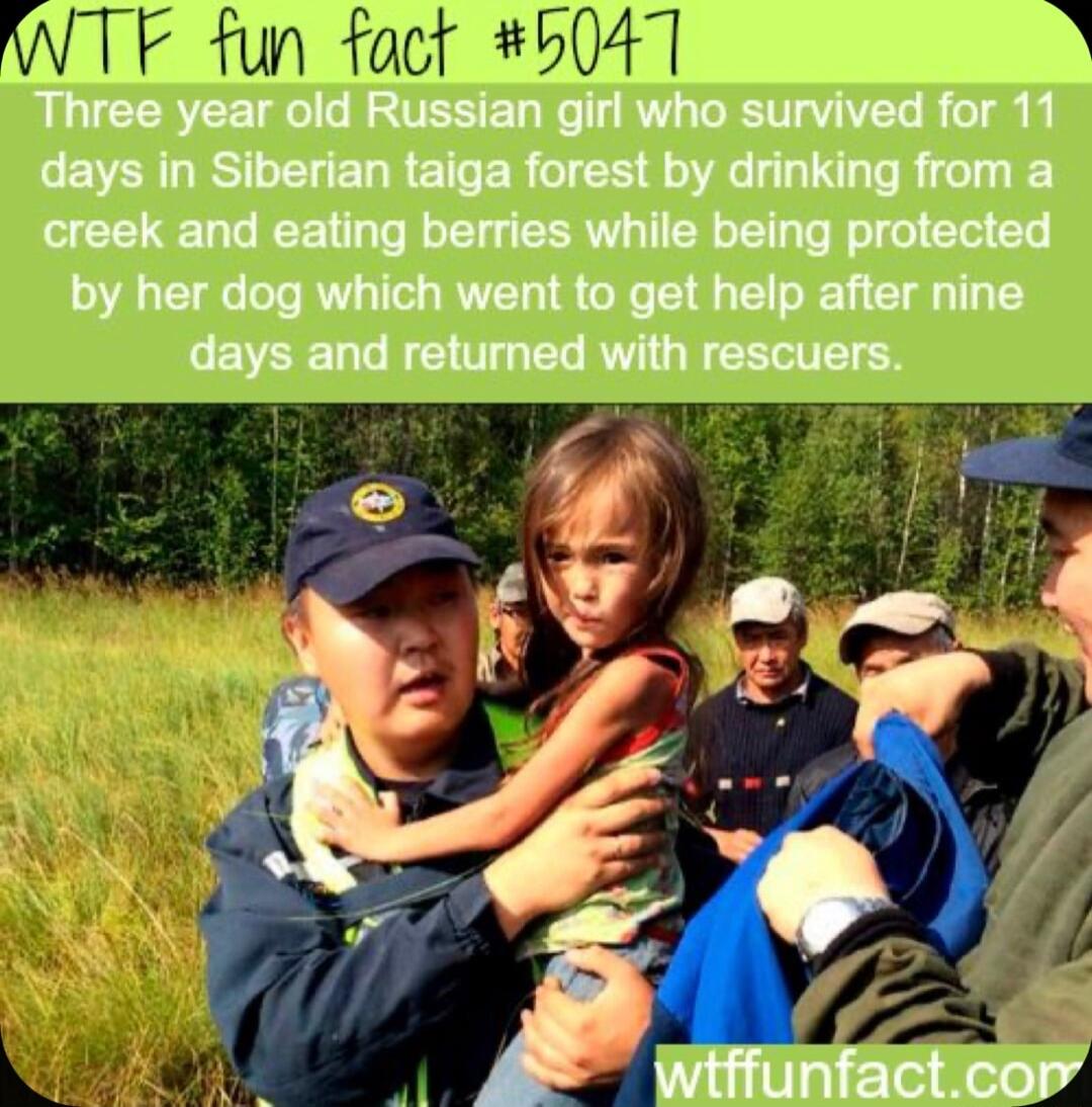 WTF fun fact 5047 R