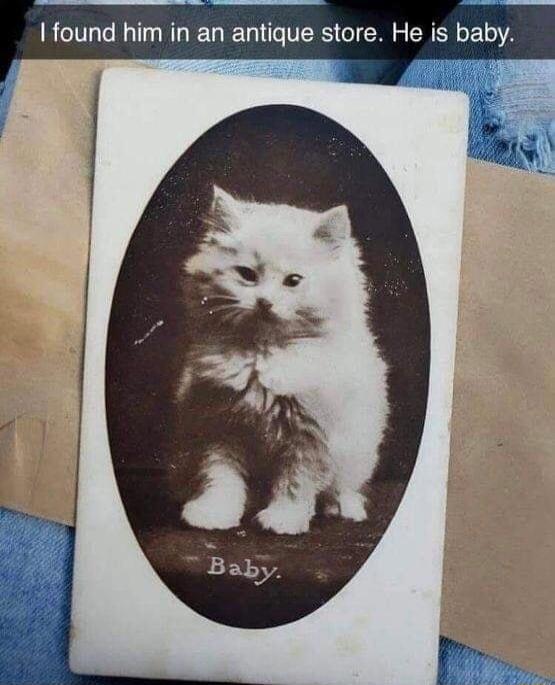 found him in ique store He is baby