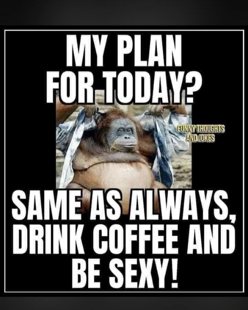 MY PLAN FOR TODAY? SAME AS ALWAYS, DRINK COFFEE AND BE SEXY! FUNNY THOUGHTS AND JOKES