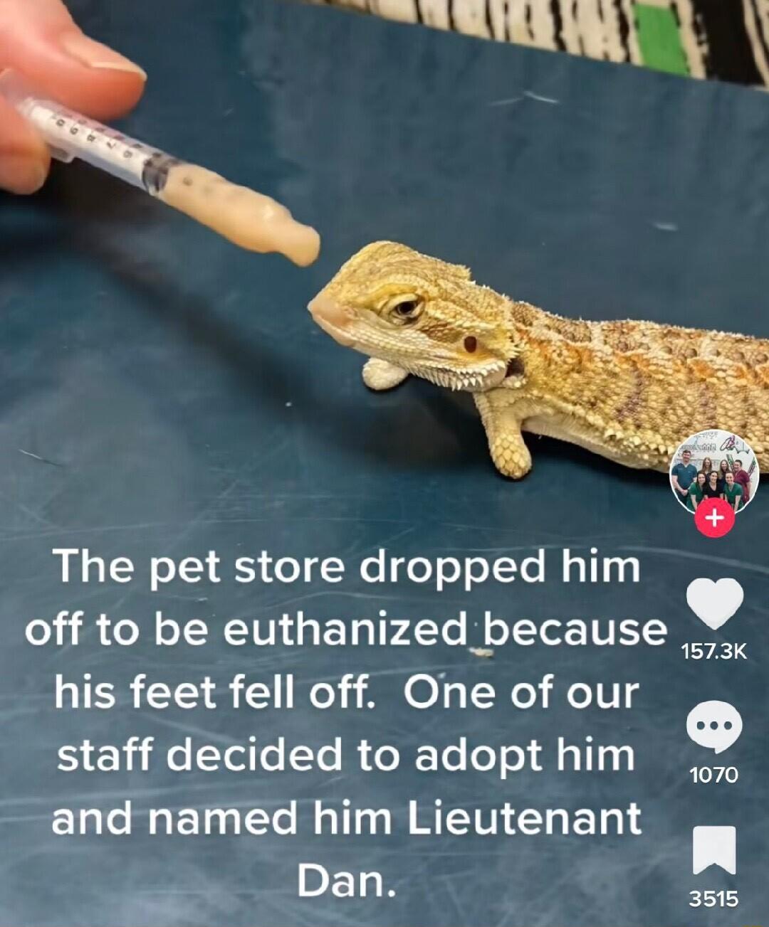 The pet store dropped him off to be euthanized because g his feet fell off One of our staff decided to adopt him g and named him Lieutenant n B s1s
