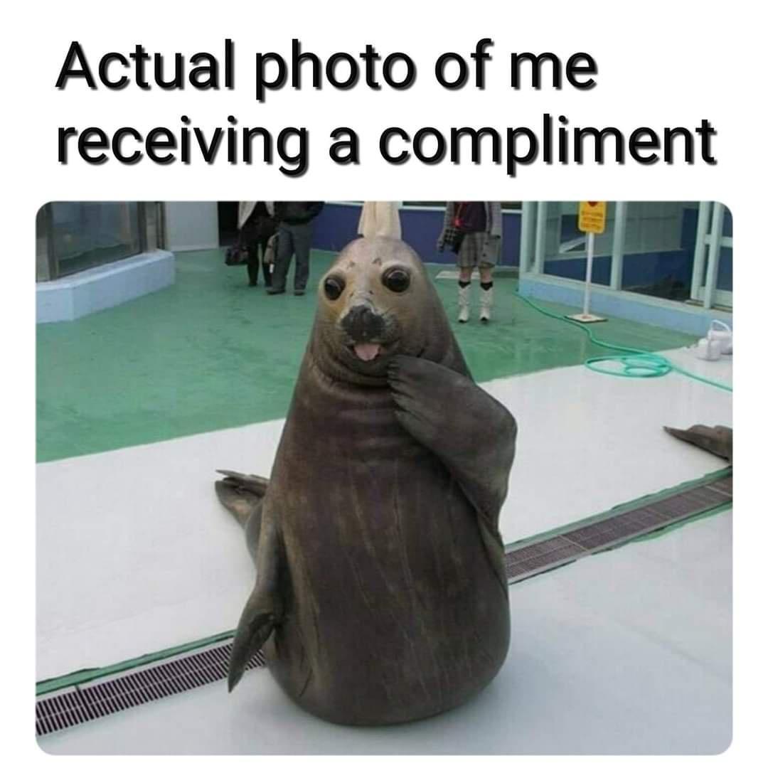Actual photo of me receiving a compliment HEQ