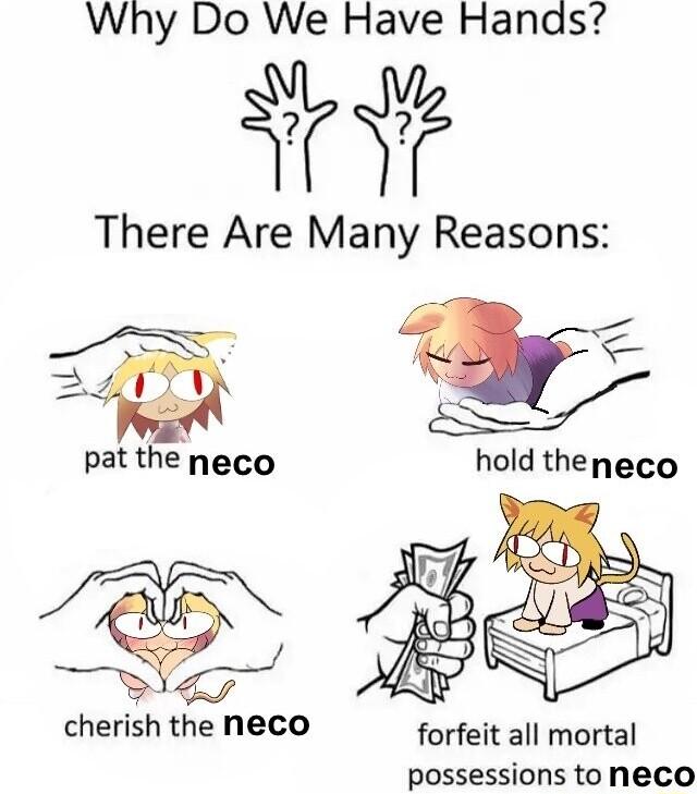 Why Do We Have Hanas There Are Many Reasons o patthe neco 9 cherish the neco forfeit all mortal possessions to Neco