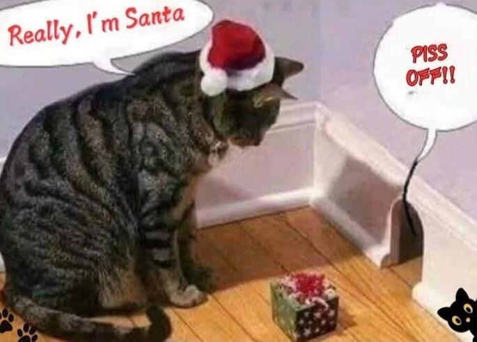 Really, I'm Santa
PISS OFF!!