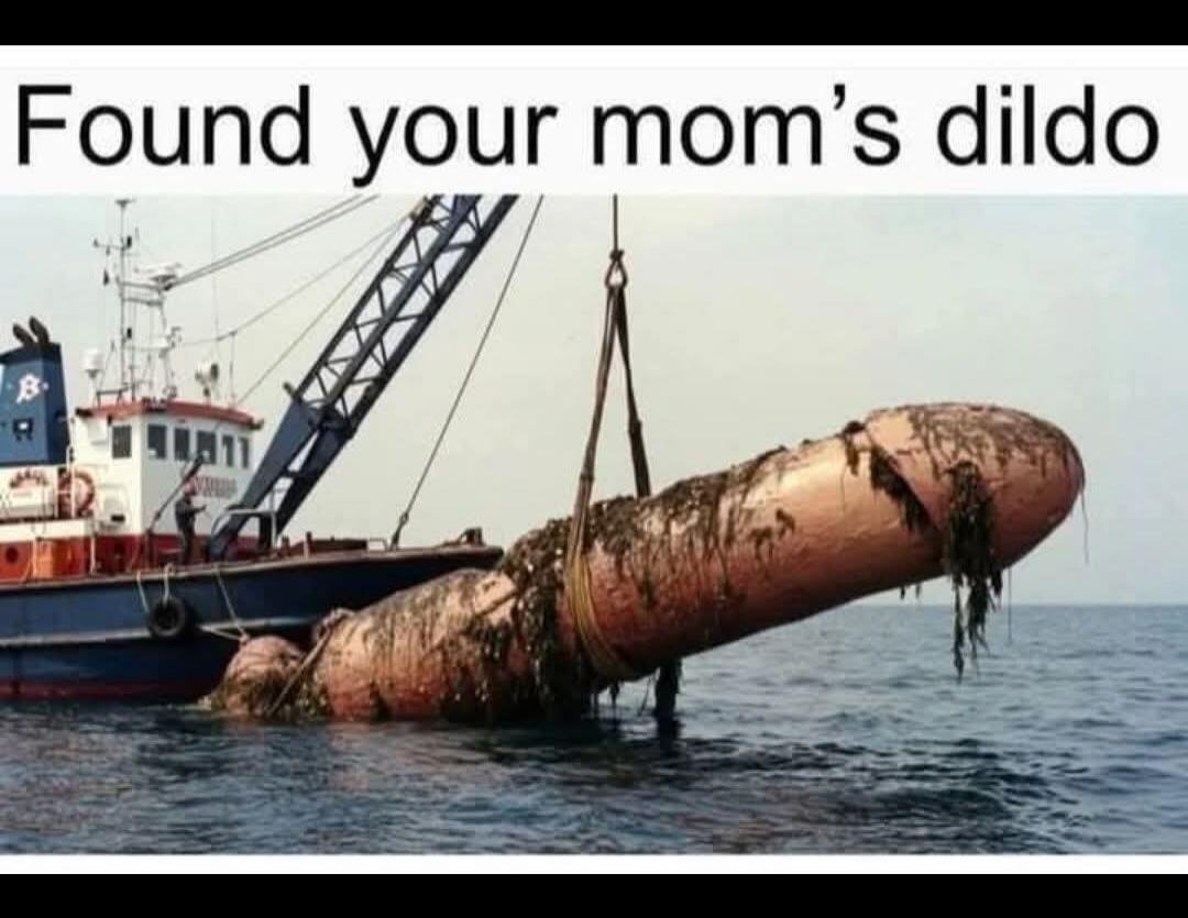 Found your mom's dildo