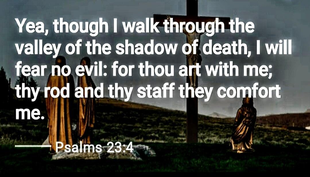 Yea, though I walk through the valley of the shadow of death, I will fear no evil: for thou art with me; thy rod and thy staff they comfort me. Psalms 23:4
