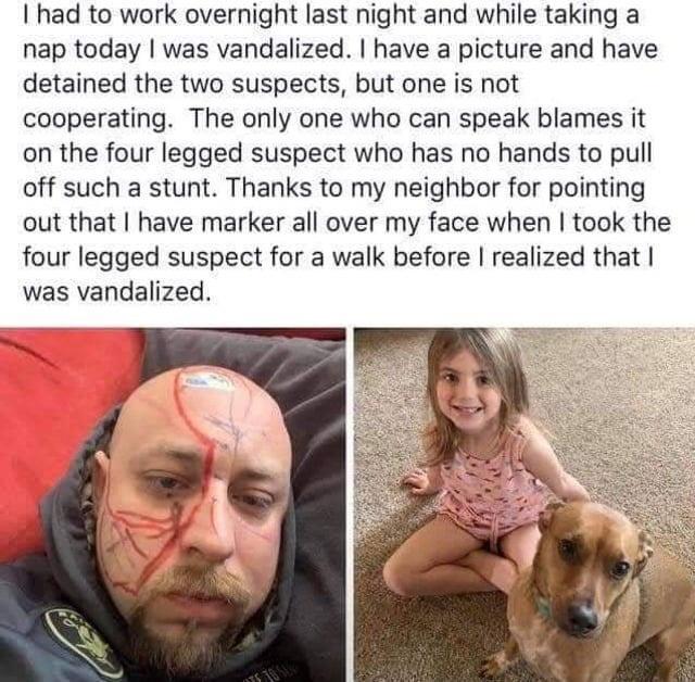 I had to work overnight last night and while taking a nap today was vandalized have a picture and have detained the two suspects but one is not cooperating The only one who can speak blames it on the four legged suspect who has no hands to pull off such a stunt Thanks to my neighbor for pointing out that have marker all over my face when took the four legged suspect for a walk before realized that