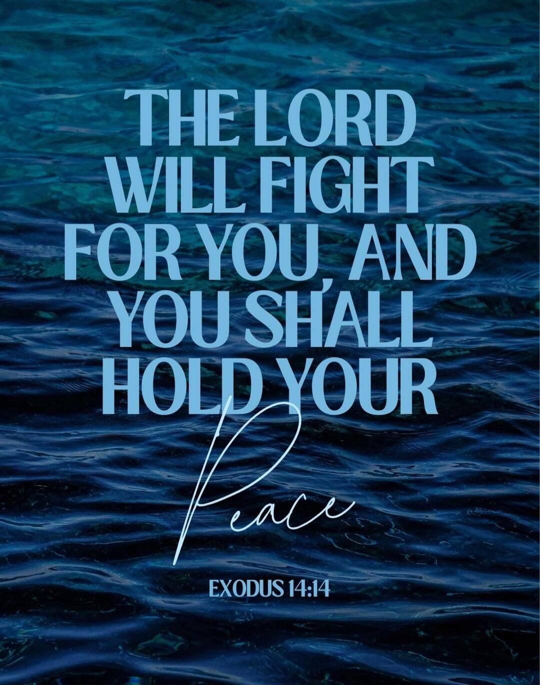 THE LORD WILL FIGHT FOR YOU, AND YOU SHALL HOLD YOUR Peace. EXODUS 14:14