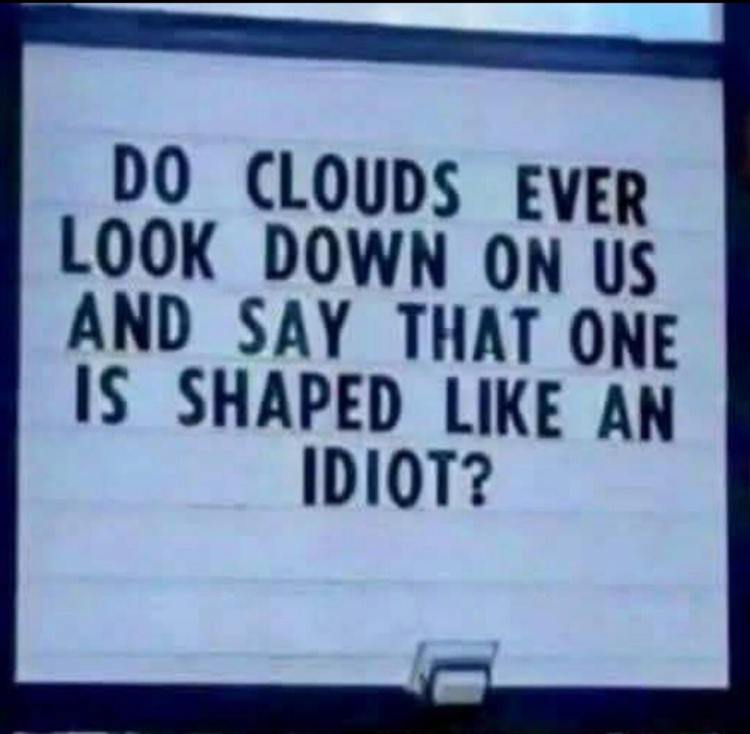 DO CLOUDS EVER LOOK DOWN ON US AND SAY THAT ONE IS SHAPED LIKE AN IDIOT?