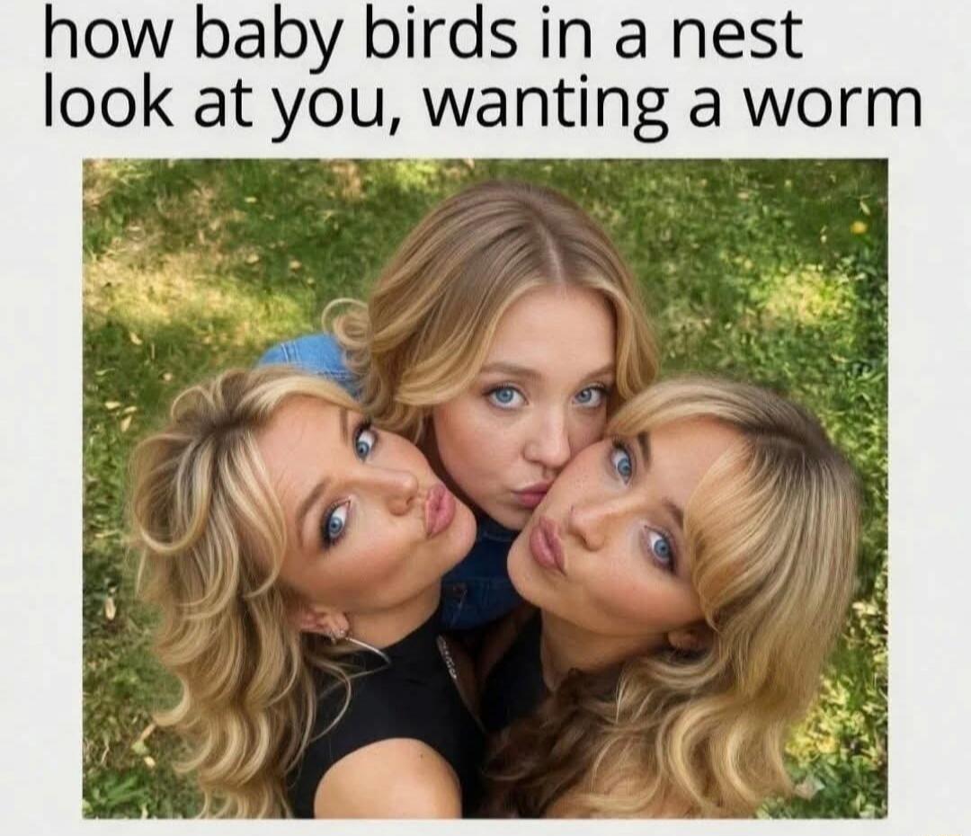 how baby birds in a nest look at you, wanting a worm
