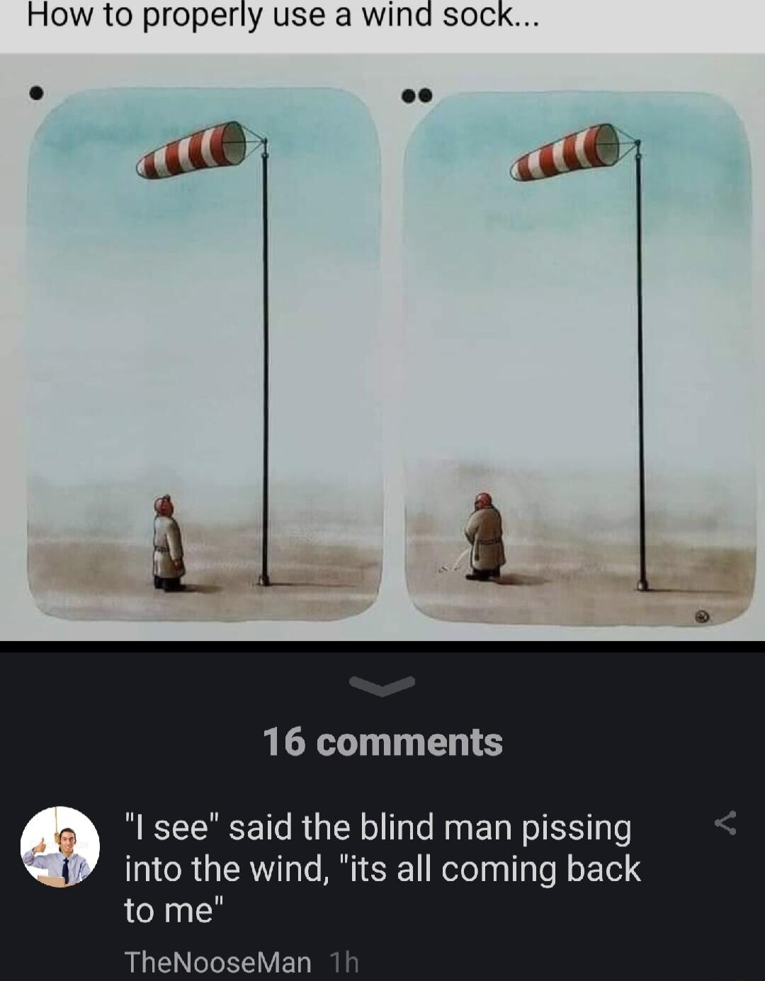 How to properly use a wind sock 16 comments see said the blind man pissing nto the wind its all coming back to me AGEN G VED