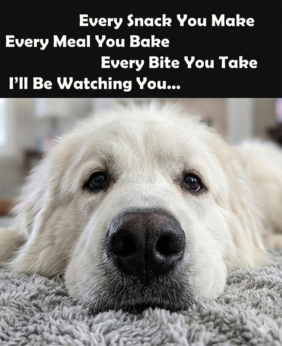 Every Snack You Make Every Meal You Bake Every Bite You Take I'll Be Watching You...