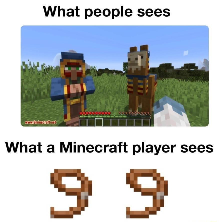 What people sees What a Minecraft player sees 99