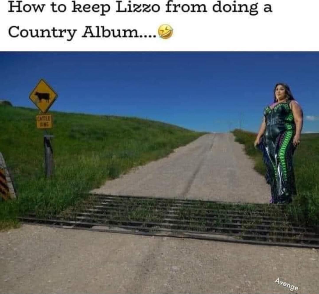 How to Reep Lizzo from doing a Country Albu