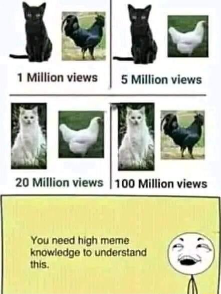 Million views 20 Million views You need high meme knowledge 1o understand this