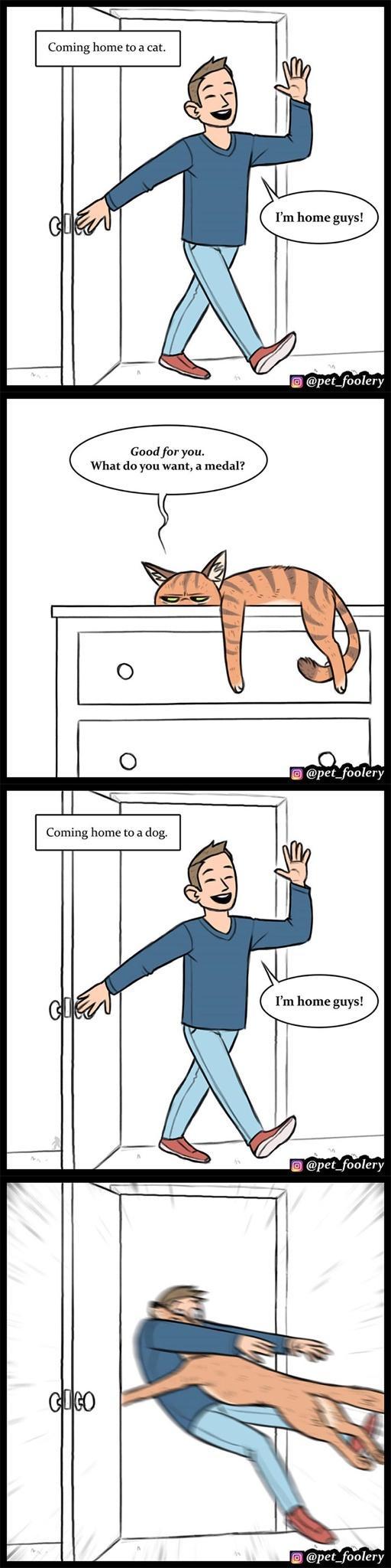 Good for you What do you want a medal Coming home toa dog