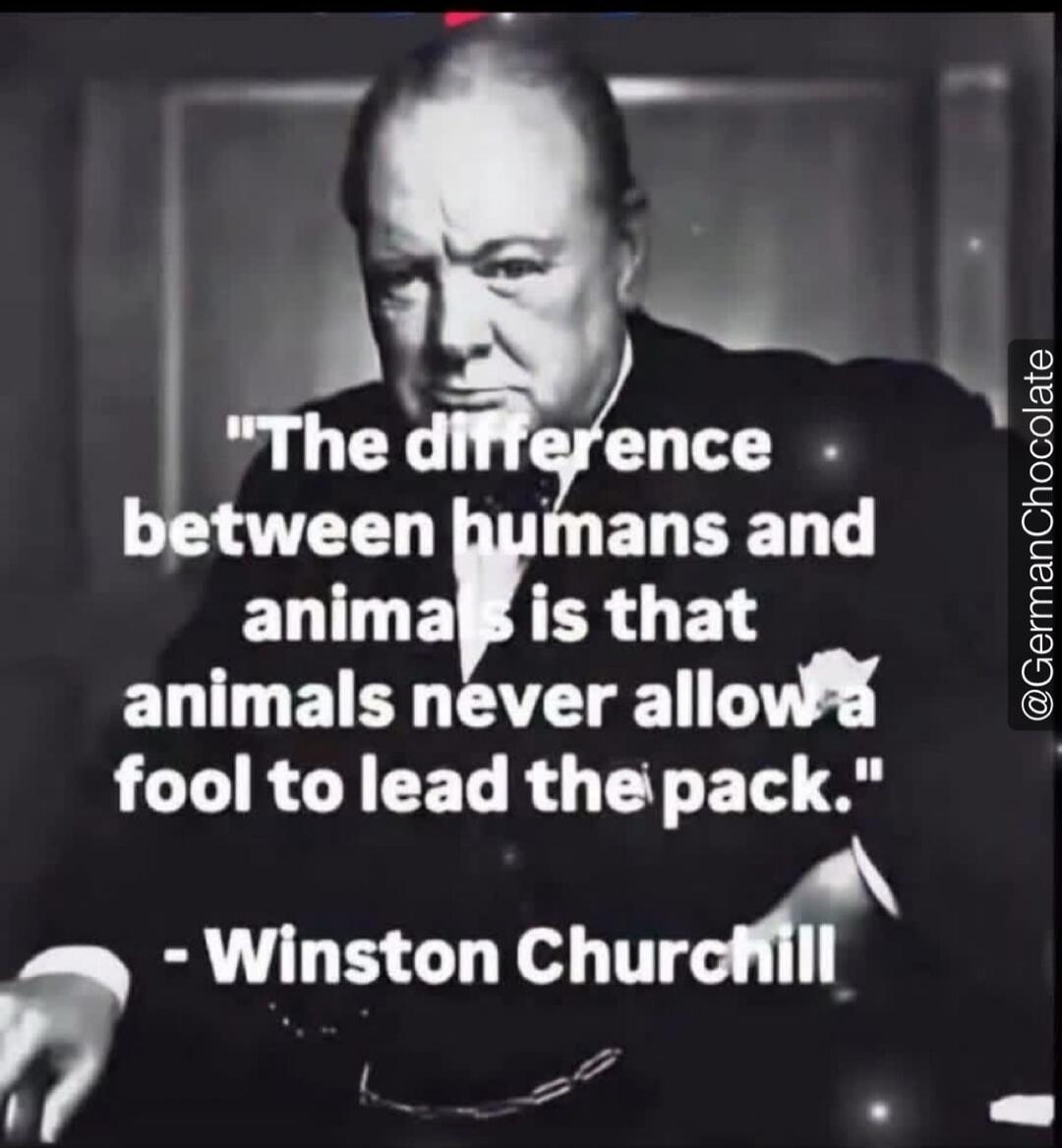 The difference between humans and animals is that animals never allow a fool to lead the pack. - Winston Churchill