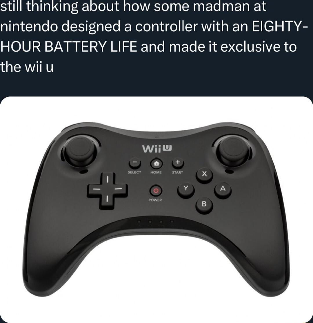 still thinking about how some maaman at nintendo designed a controller with an EIGHTY HOUR BATTERY LIFE and made it exclusive to QIR