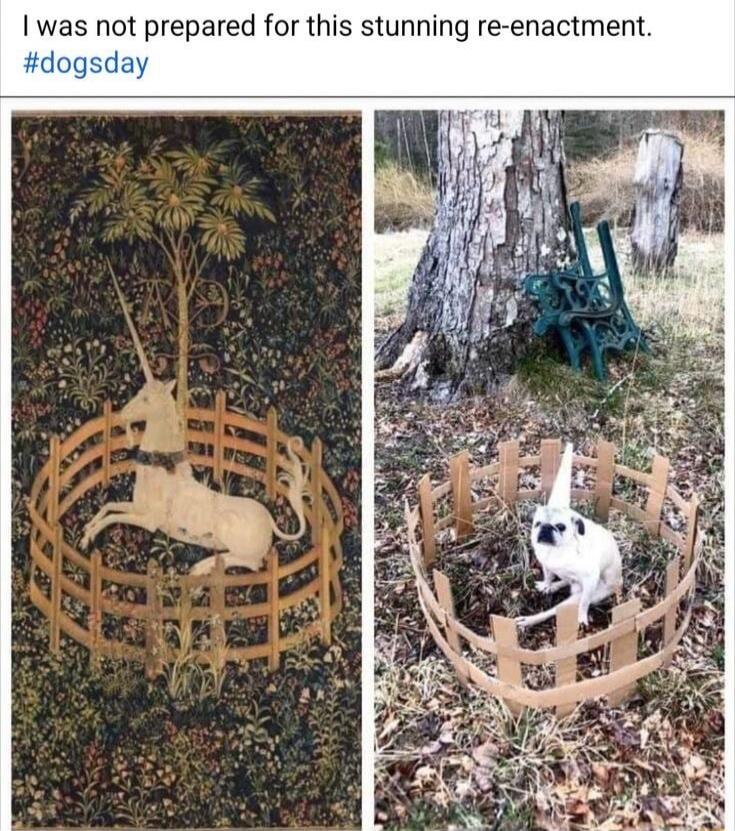 I was not prepared for this stunning re-enactment. #dogsday