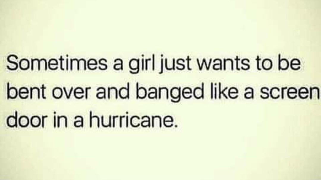 Sometimes a girl just wants to be bent over and banged like a screen door in a hurricane