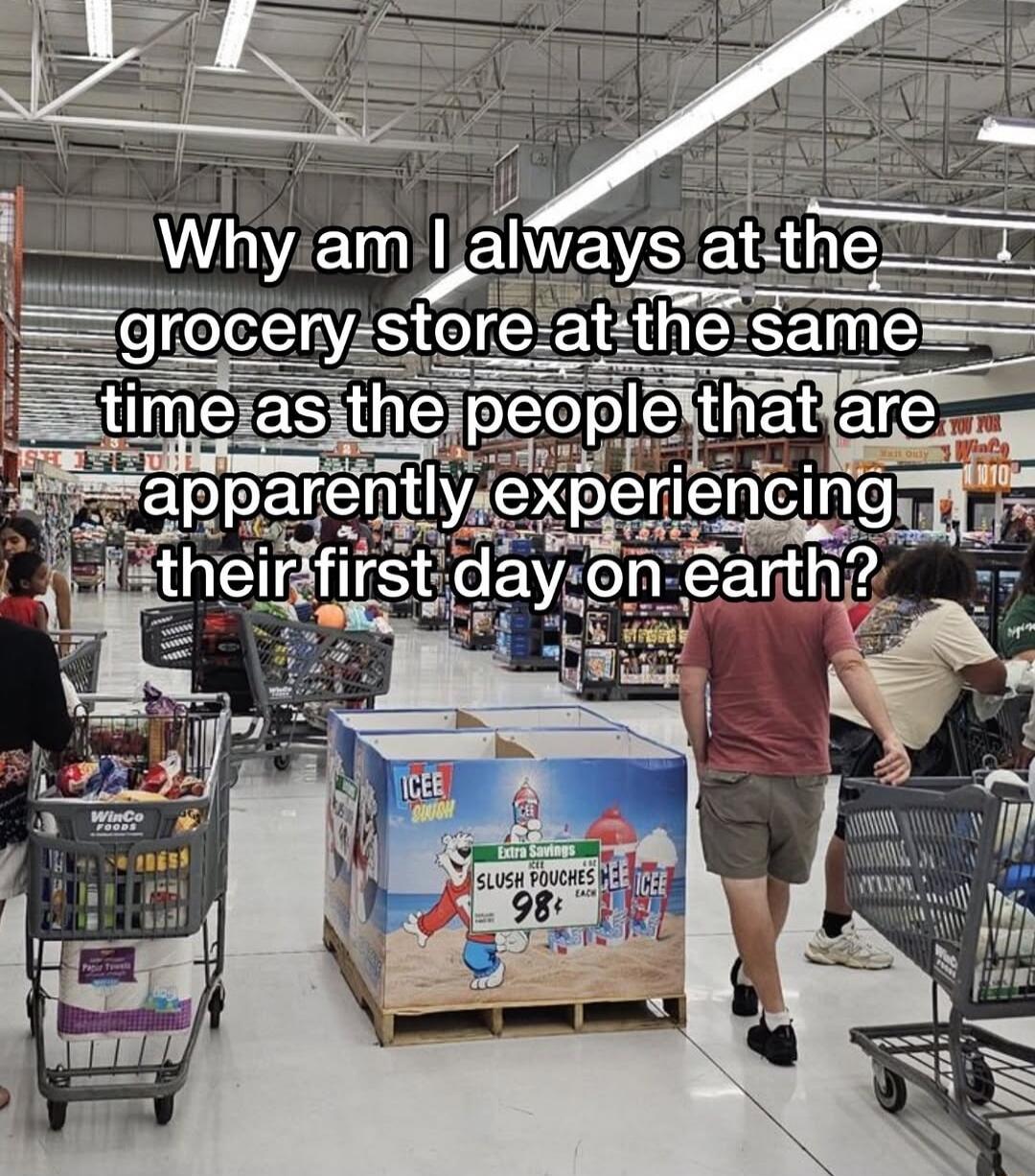Why am I always at the grocery store at the same time as the people that are apparently experiencing their first day on earth?