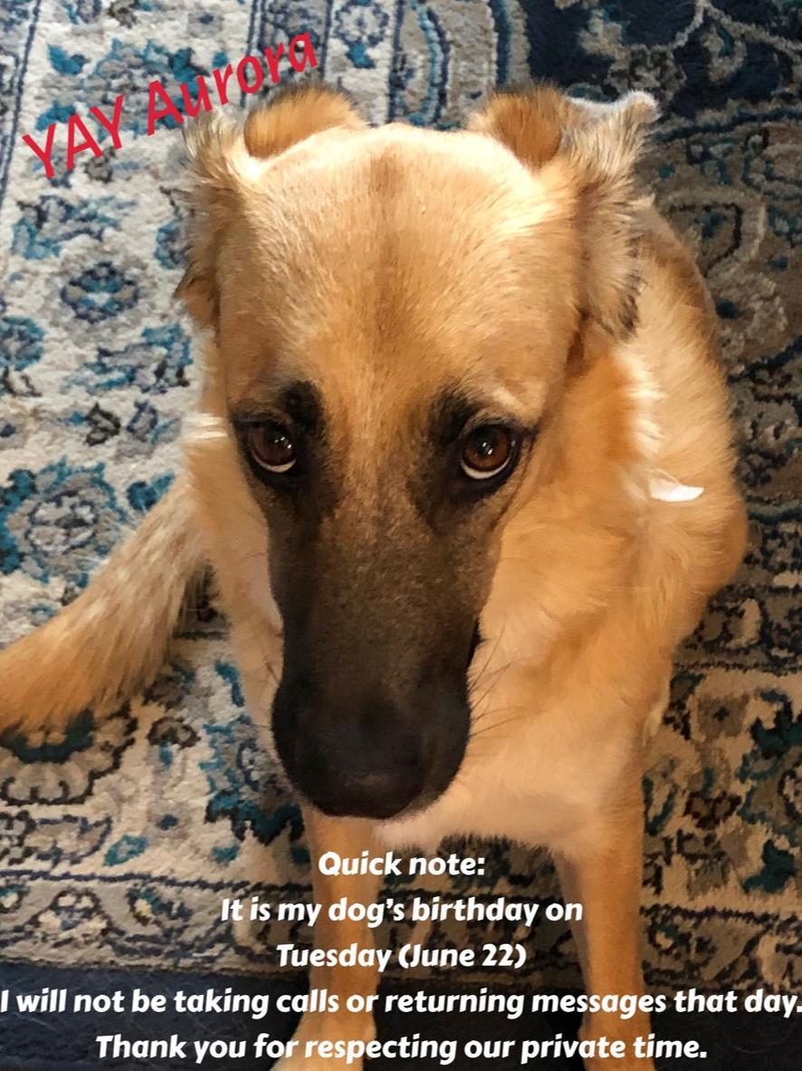 ntte Itiis my dogs birthday on Tuesday June 22 I will not be taking calls or returning messages that day Thank you fofkespecting our private time