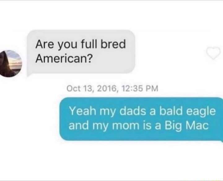 Are you full bred American Oct 13 2016 1235 PM