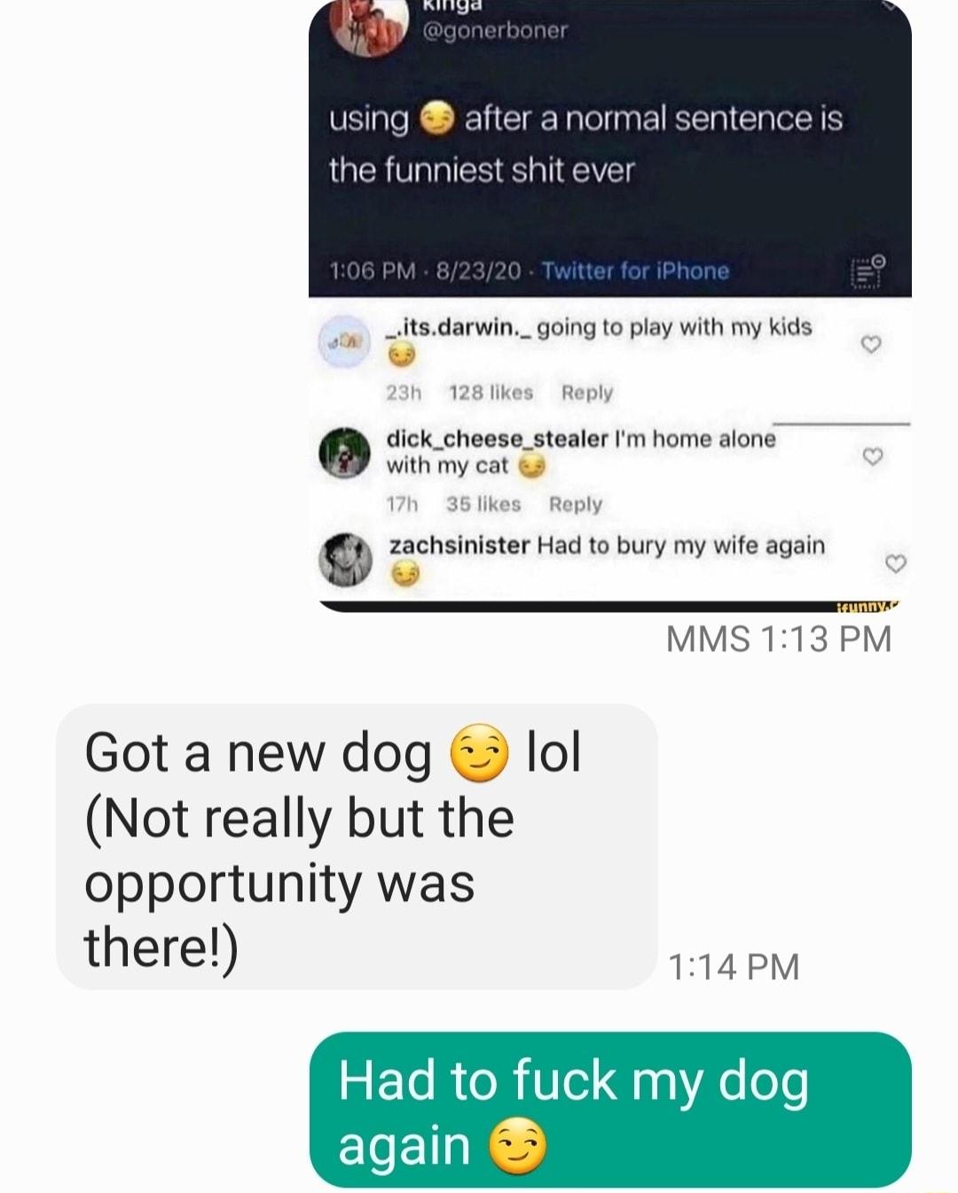S Ty using after a normal sentence is the funniest shit ever _dtsdarwin_going to play with my kids 128 likes Reply dick_cheese_stealer Im home alone with my cat 2 36 likes Reply zachsinister Had to bury my wife again MMS 113 PM Got a new dog lol Not really but the opportunity was there 1114 PM