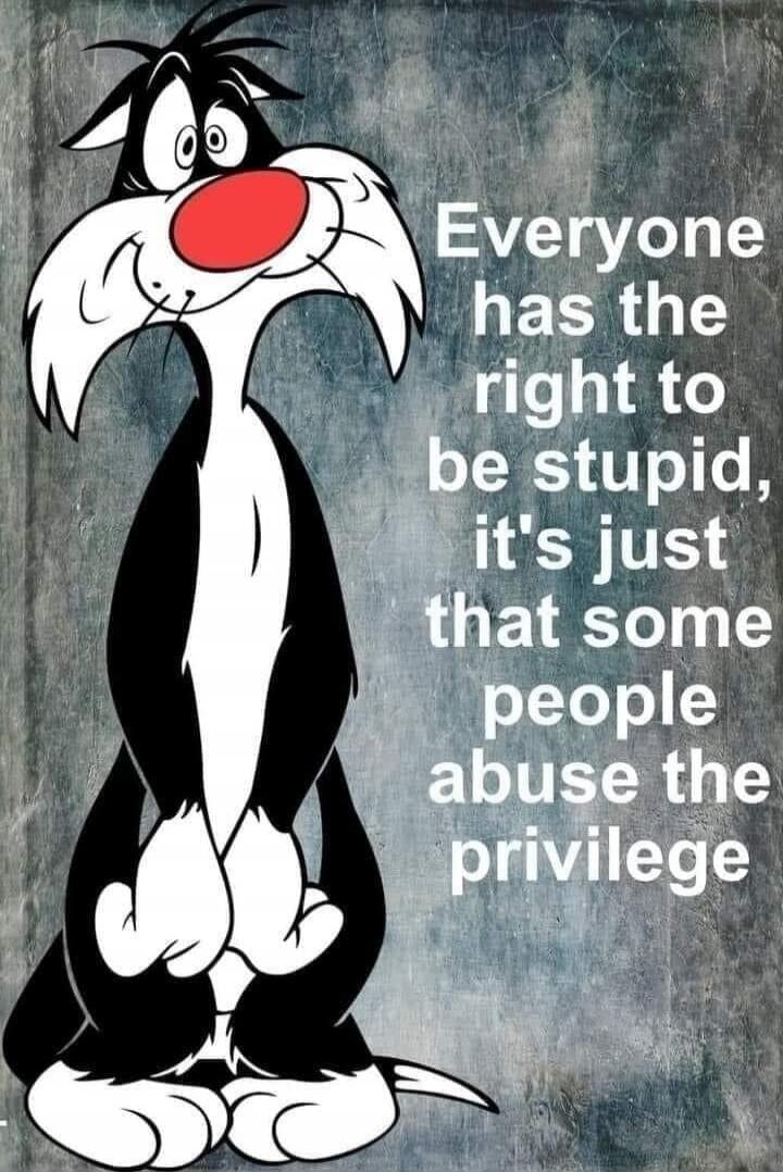 Everyone has the right to be stupid, it's just that some people abuse the privilege