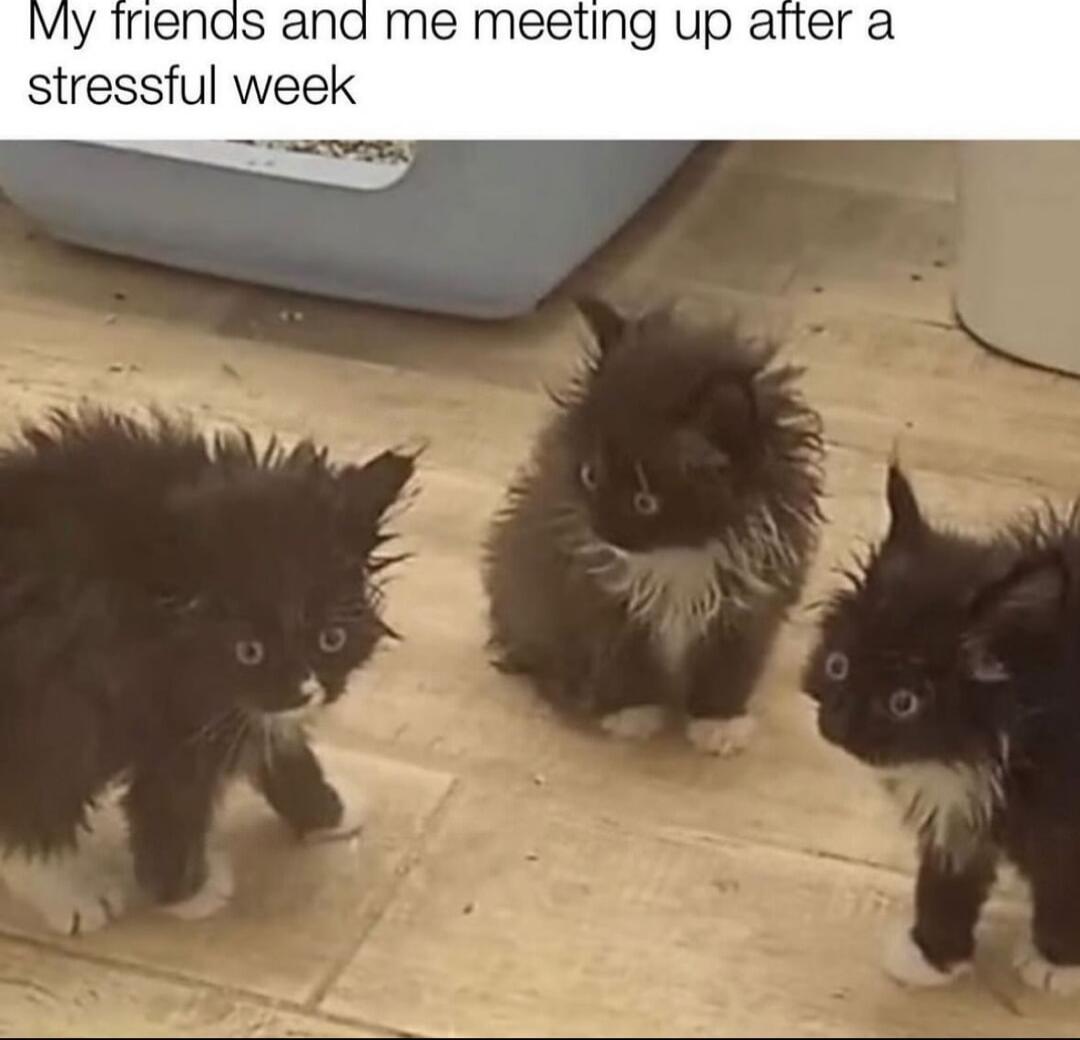 My Triends and me meeting up aiter a stressful week