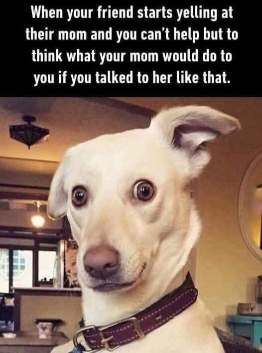 When your friend starts yelling at their mom and you can't help but to think what your mom would do to you if you talked to her like that.
