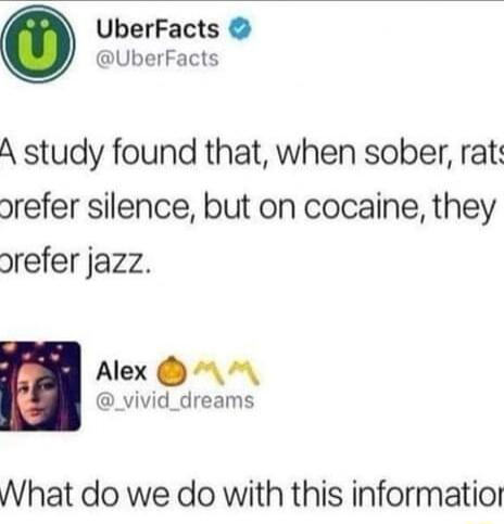 UberFacts UberFacts A study found that when sober rat orefer silence but on cocaine they orefer jazz Alex _vivid_dreams What do we do with this informatior