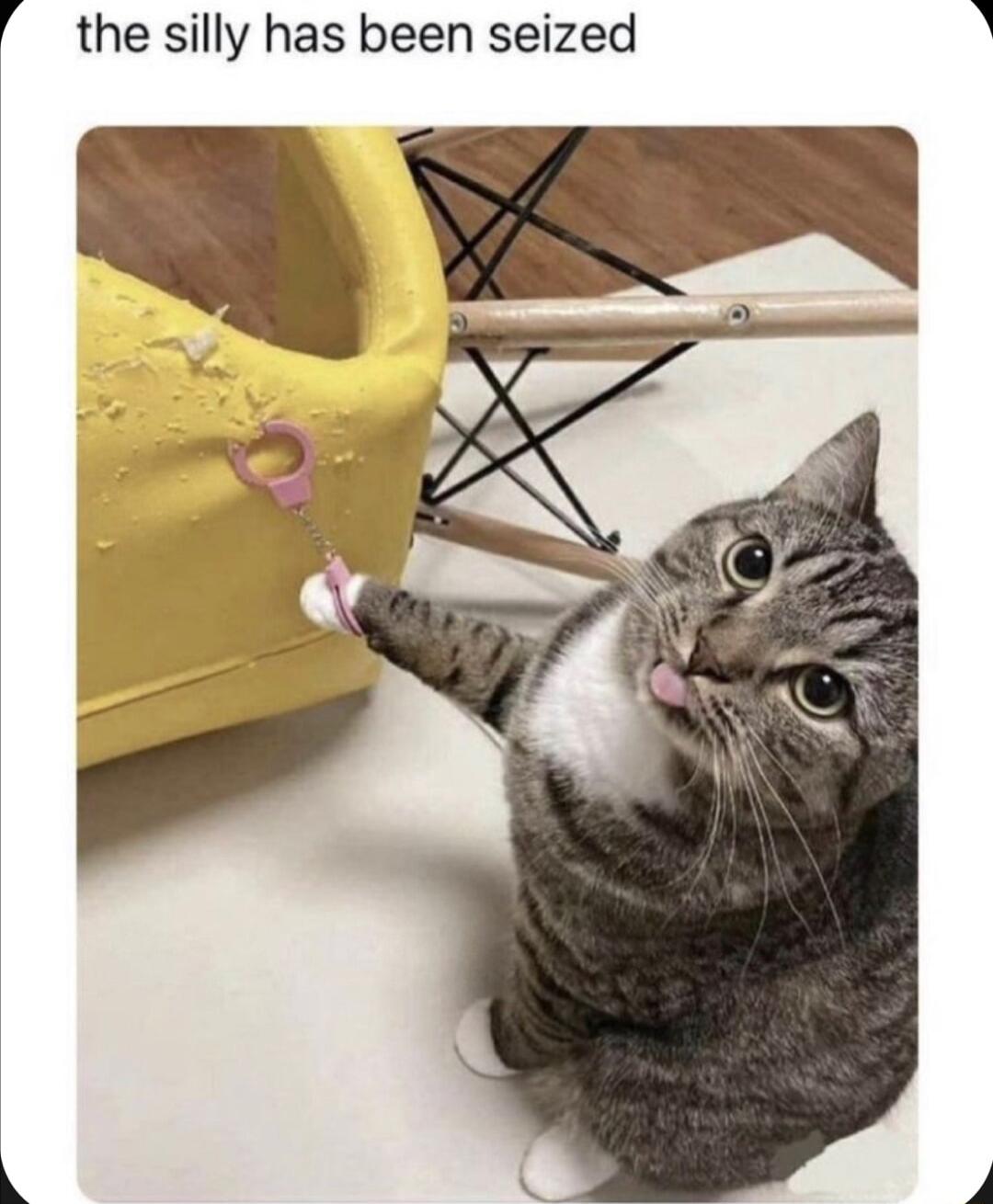 the silly has been seized