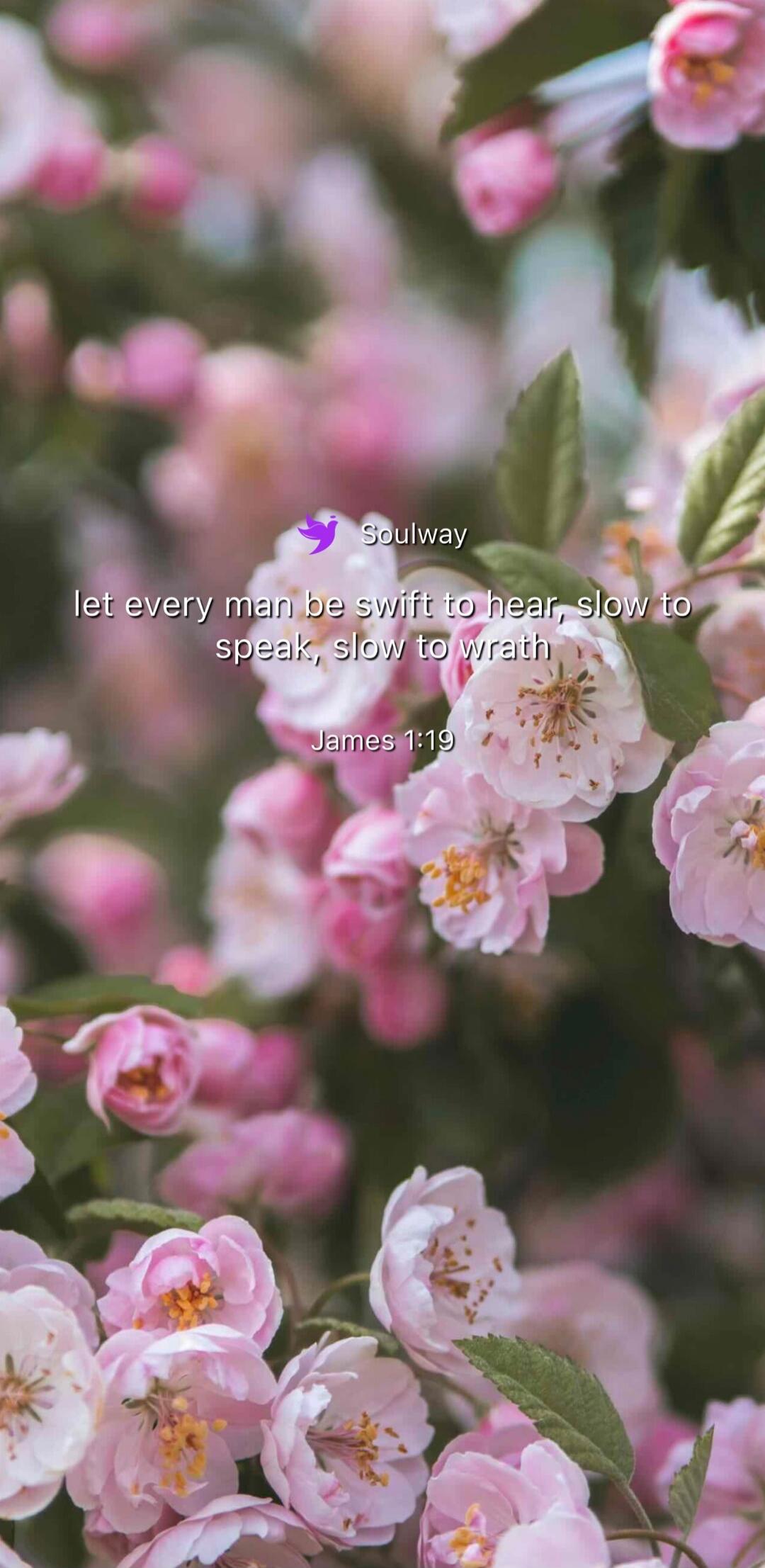 Soulway let every man be swift to hear, slow to speak, slow to wrath James 1:19