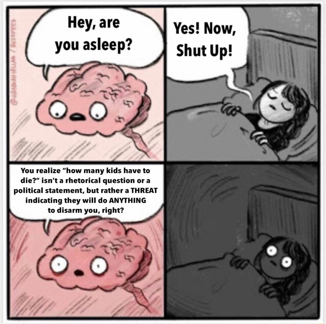 You realize how many kids have to die isnt a rhetorical question ora political statement but rather a THREAT indicating they will do ANYTHING to disarm you right