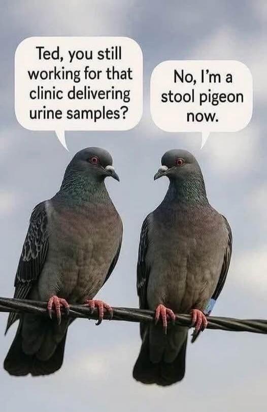 Ted, you still working for that clinic delivering urine samples? No, I'm a stool pigeon now.