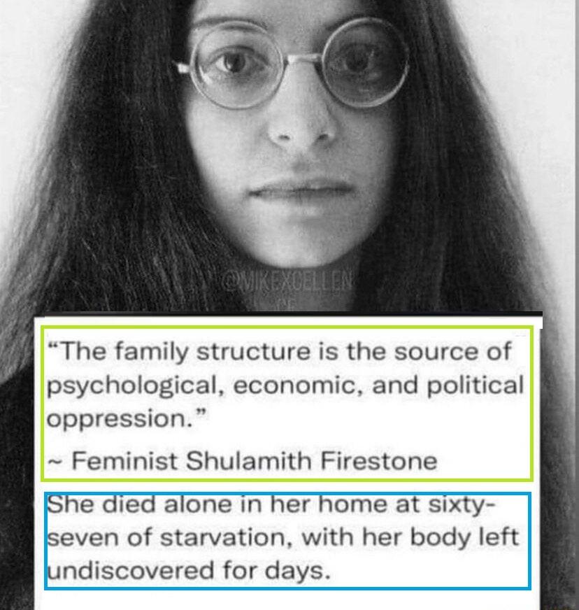 The family structure is the source of psychological economic and political oppression Feminist Shulamith Firestone She died alone in her home at sixty seven of starvation with her body left jundiscovered for days