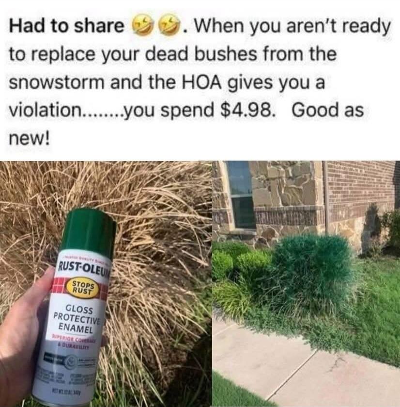 Had to share 🤣🤣. When you aren’t ready to replace your dead bushes from the snowstorm and the HOA gives you a violation.........you spend $4.98. Good as new!
