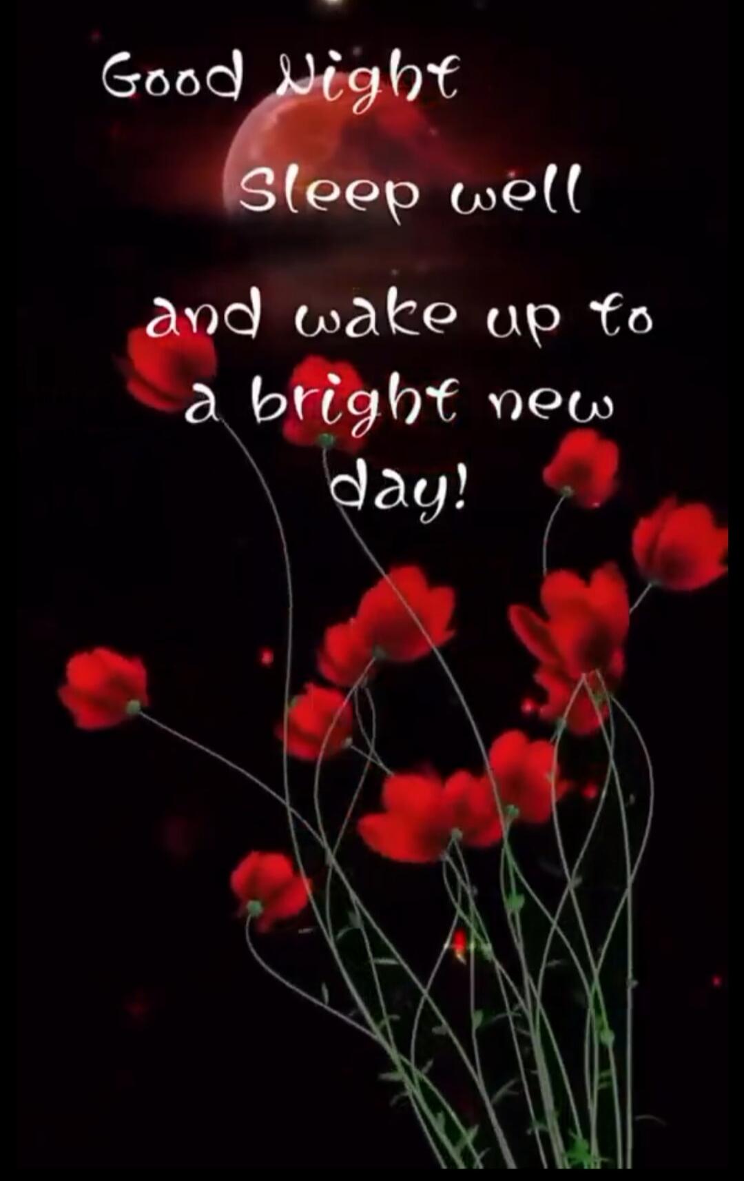 Good Night Sleep well and wake up to a bright new day!