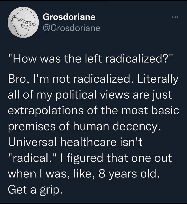 CTGELLIEL TS leTteEeJET T How was the left radicalized Bro Im not radicalized Literally all of my political views are just extrapolations of the most basic premises of human decency Universal healthcare isnt radical figured that one out WA E S CI SRR T o o B CEIE F doR