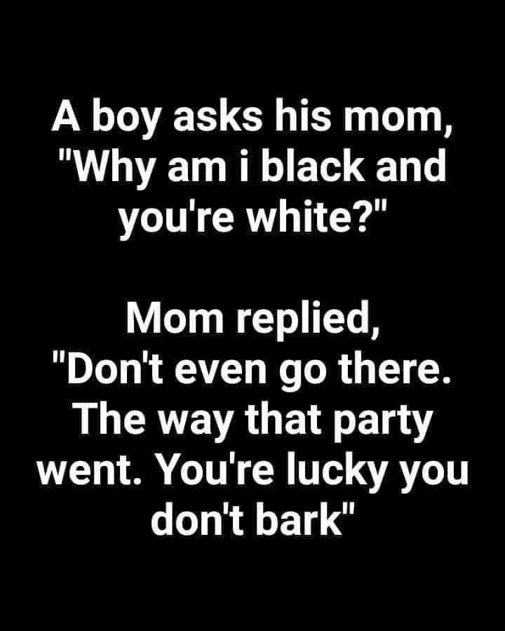A boy asks his mom Why am i black and VO CRTG T CY Mom replied Dont even go there LLGCRTE VAL T04Y VL1 LA TR N TTe TR dont bark