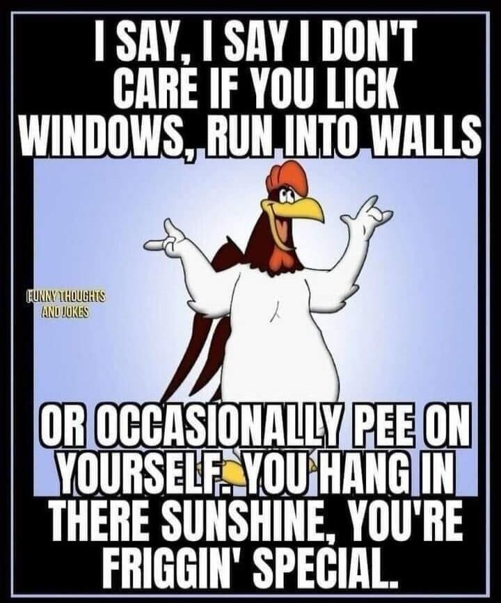 I SAY, I SAY I DON'T CARE IF YOU LICK WINDOWS, RUN INTO WALLS OR OCCASIONALLY PEE ON YOURSELF. YOU HANG IN THERE SUNSHINE, YOU'RE FRIGGIN' SPECIAL. FUNNY THOUGHTS AND JOKES