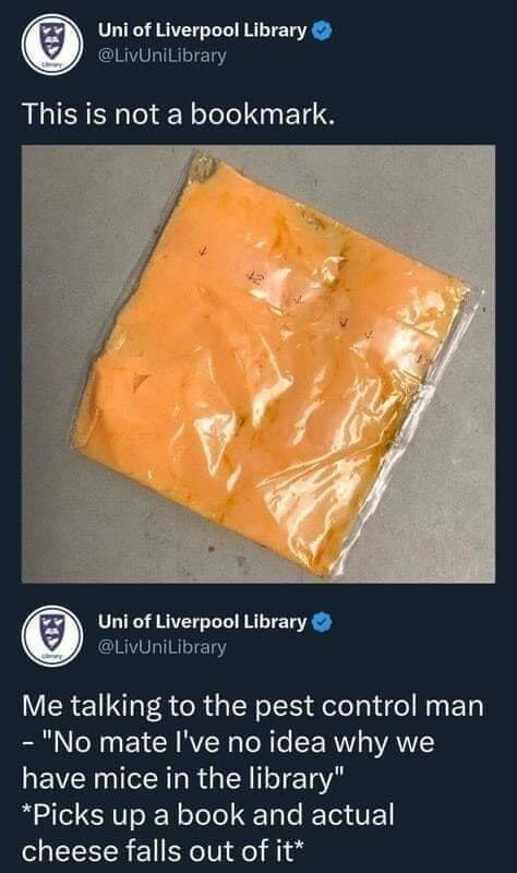 Uni of Liverpool Library LivUniLibrary This is not a bookmark Uni of Liverpool Library CIRVSLTRTE T Me talking to the pest control man No mate Ive no idea why we have mice in the library Picks up a book and actual cheese falls out of it