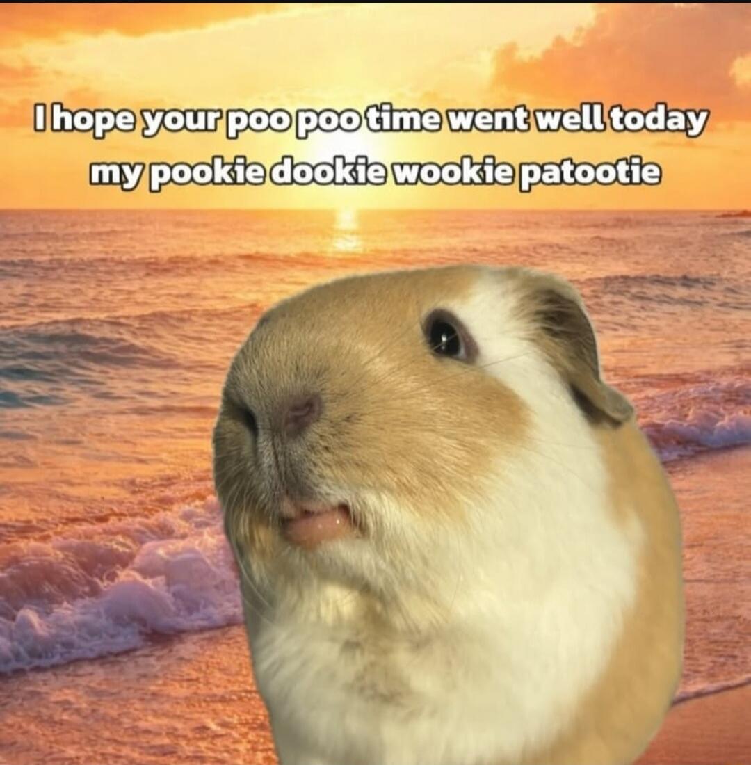 I hope your poo poo time went well today my pookie dookie wookie patootie