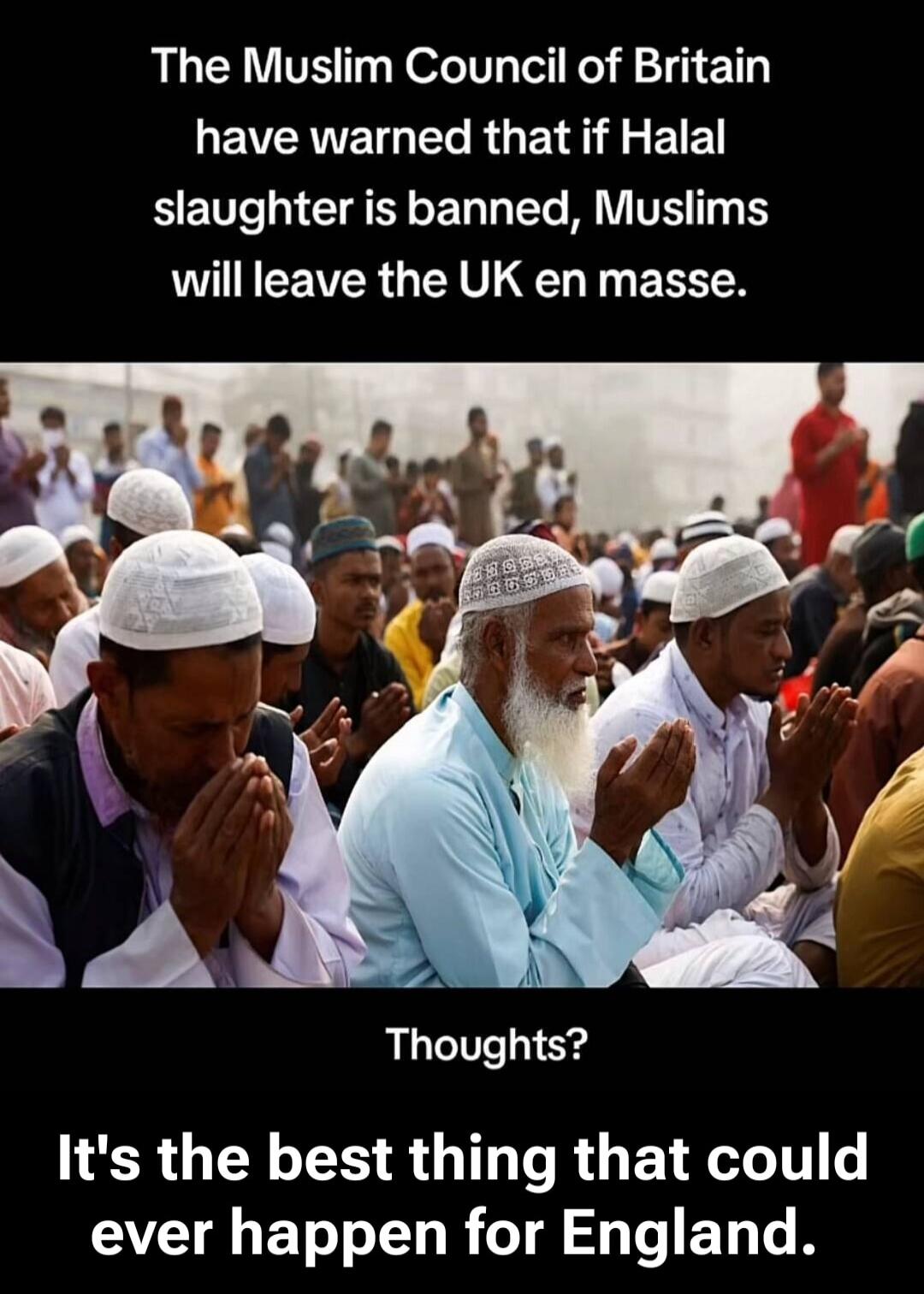 The Muslim Council of Britain have warned that if Halal slaughter is banned, Muslims will leave the UK en masse. Thoughts? It's the best thing that could ever happen for England.