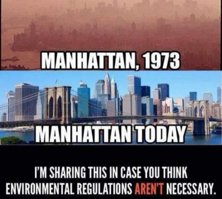 1L MANHATTANTODAY IM SHARING THIS IN CASE YOU THINK ENVIRONMENTAL REGULATIONS NECESSARY