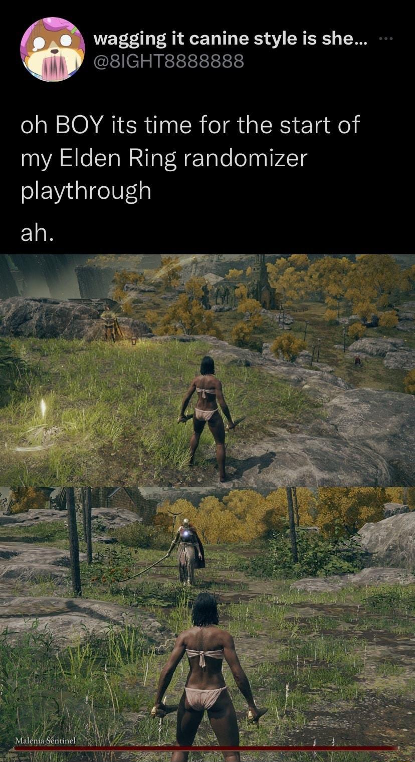 wagging it canine style is she 8IGHT8888888 N ON AR IR TR GRS Eladel my Elden Ring randomizer playthrough