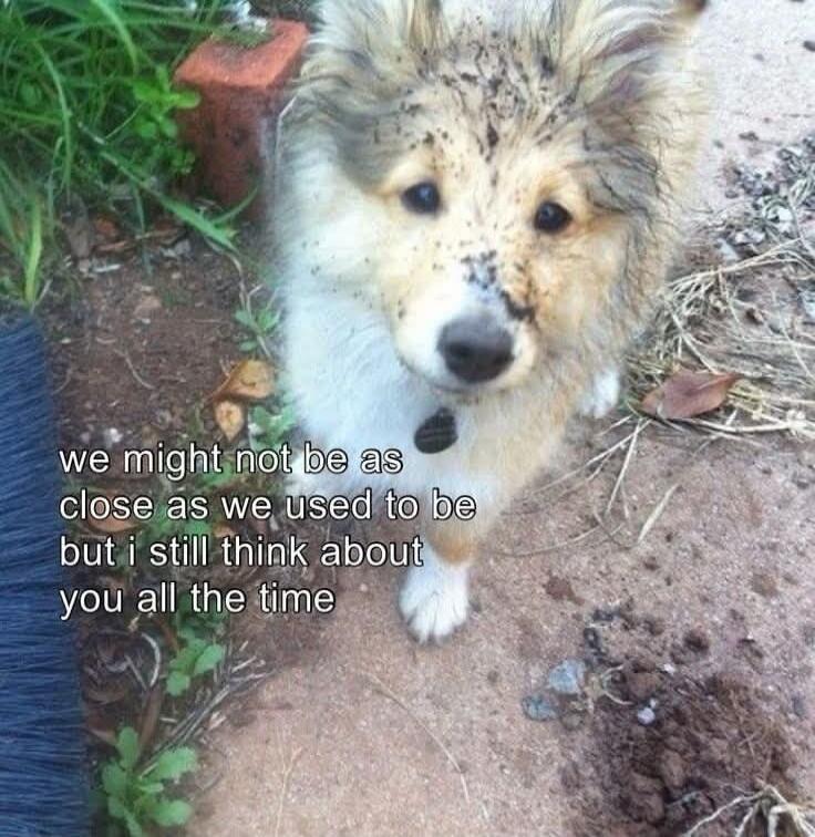 we might not be as close as we used to be but i still think about you all the time