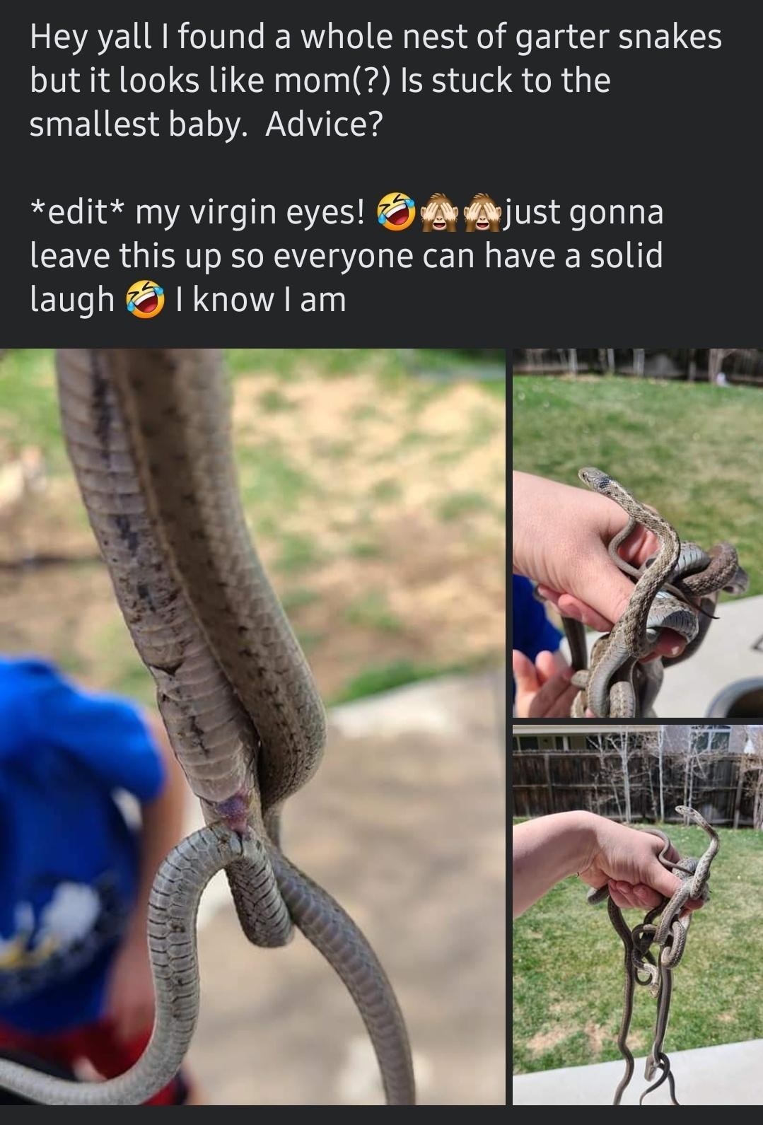 VAR 1V IERWA o RS do e E I I U ELE but it looks like mom Is stuck to the smallest baby Advice edit my virgin eyes wjust gonna leave this up so everyone can have a solid ENhES AN GAED