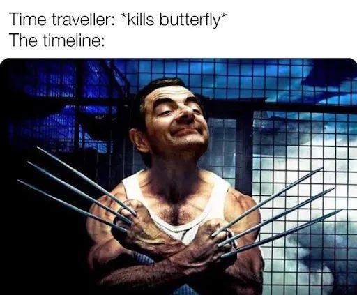 Time traveller kills butterfly The timeline